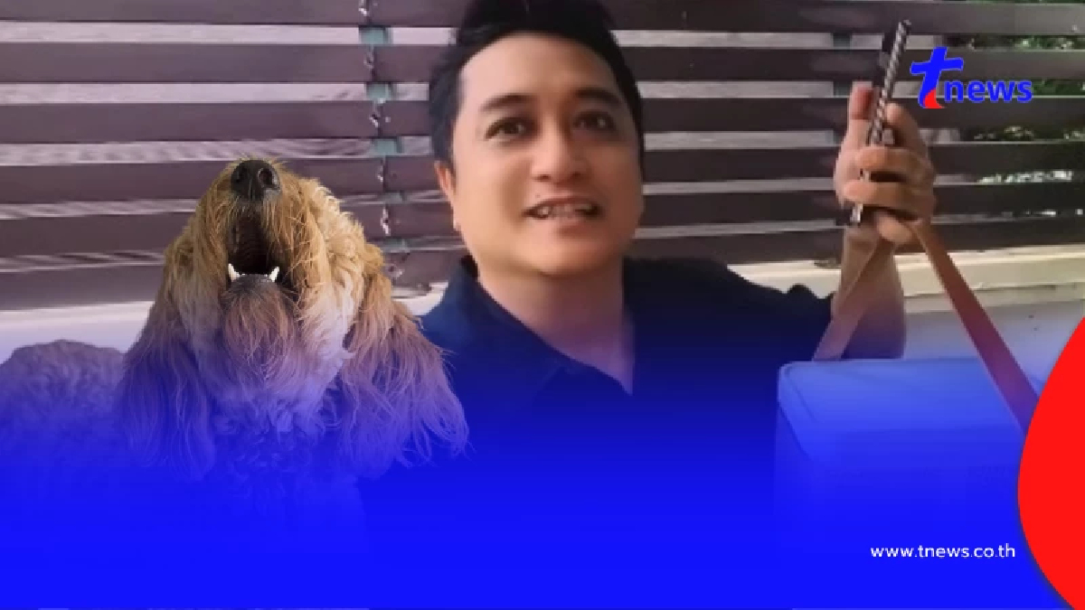 จีเนียส หนุ่มหาทางหยุดหมาข้างบ้านเห่าไม่หยุดตอนเจ้าของไม่อยู่