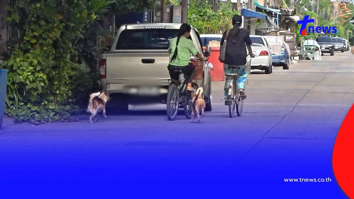 ชาวบ้านผวา! หมาจรคลองหลวงดุไล่กัดคน หน่วยงานโยนกันไปมา