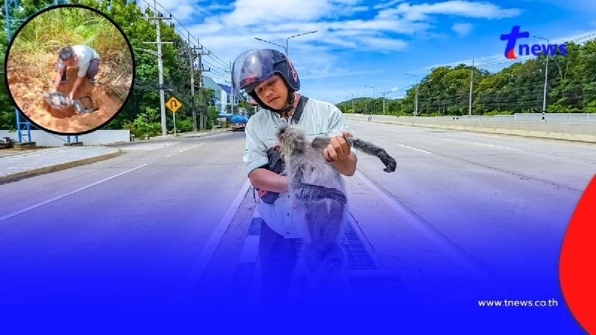เปิดโฉมฮีโร่! เสี่ยงชีวิตกลางถนน อุ้มร่างค่างถูกรถชน ขุดหลุมฝัง