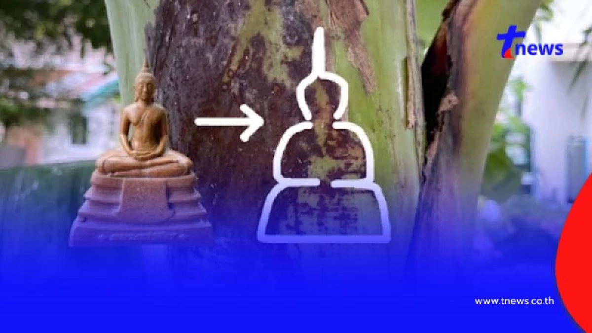 ฮือฮา! ลายพระพุทธรูปโผล่ต้นกล้วย จุดธูปได้เลขตรงทะเบียนรถ