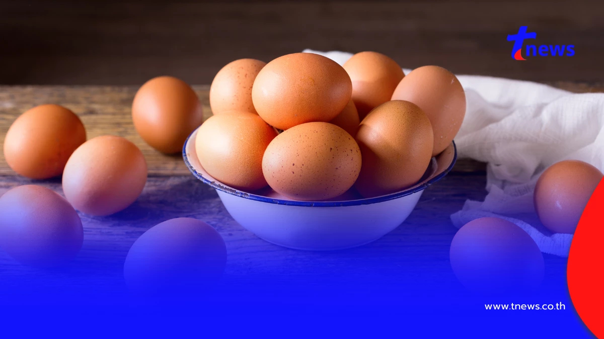 เทียบชัดๆ ต่างกันจริงไหม? ไข่ไก่ออร์แกนิค vs ไข่ไก่ทั่วไป