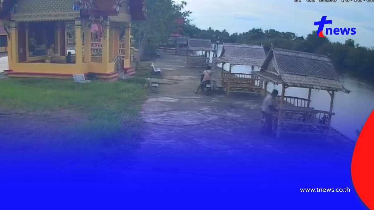 ทำเป็นอาลัย! หนุ่มสาวแอบทิ้งลูกแมว 3 ตัว พระวอนหยุดสร้างบาป