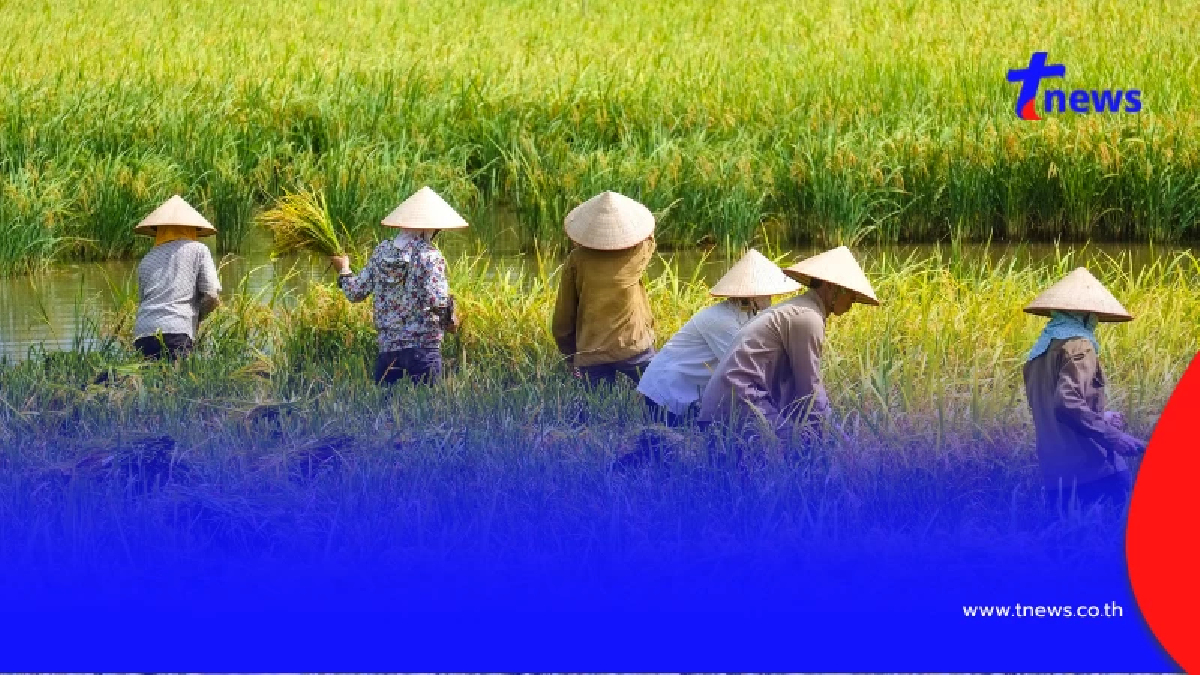 ข่าวดีเกษตรกร เคาะแล้วหลักเกณฑ์เยียวยาใหม่ ปรับเพิ่มเงินชดเชยให้ เช็กเงื่อนไขเลย