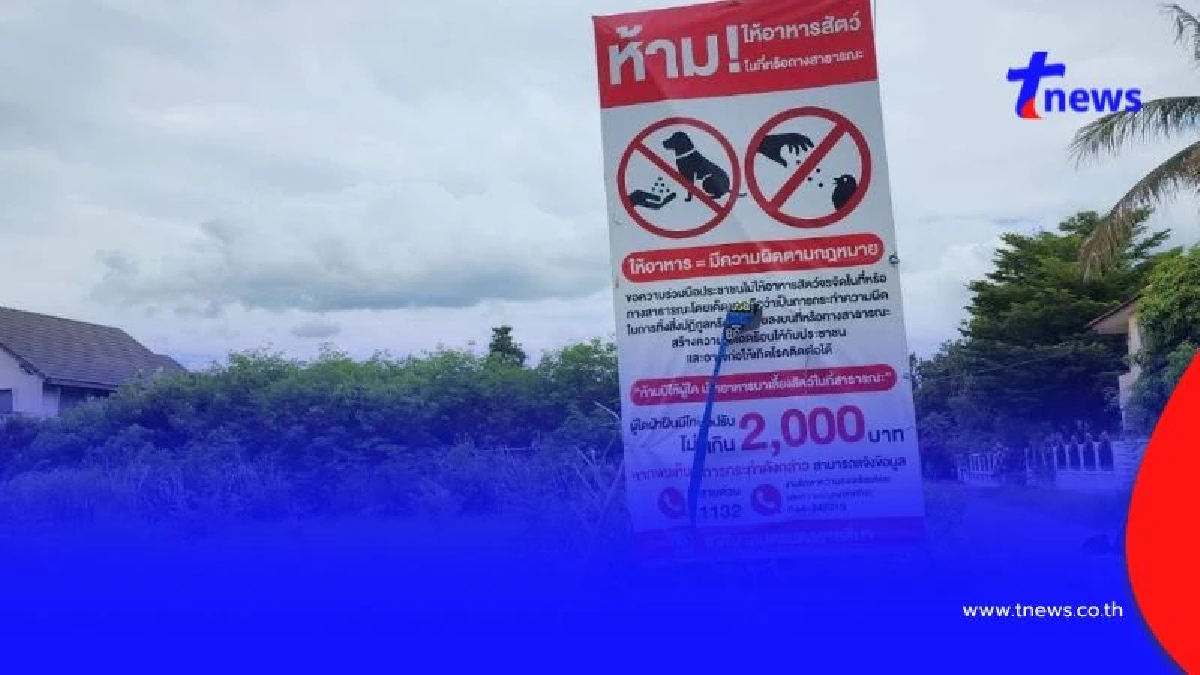 ดราม่าป้าย "ห้ามให้อาหารหมาจร" เท่ากับผิดกฎหมาย ชาวโคราชจวกยับ