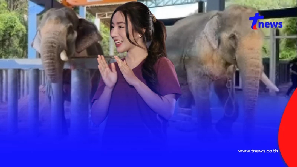 เกินคาด อาการล่าสุด "พี่เดียว" ช้างขาหัก ปาฏิหาริย์เกิดขึ้นแล้ว