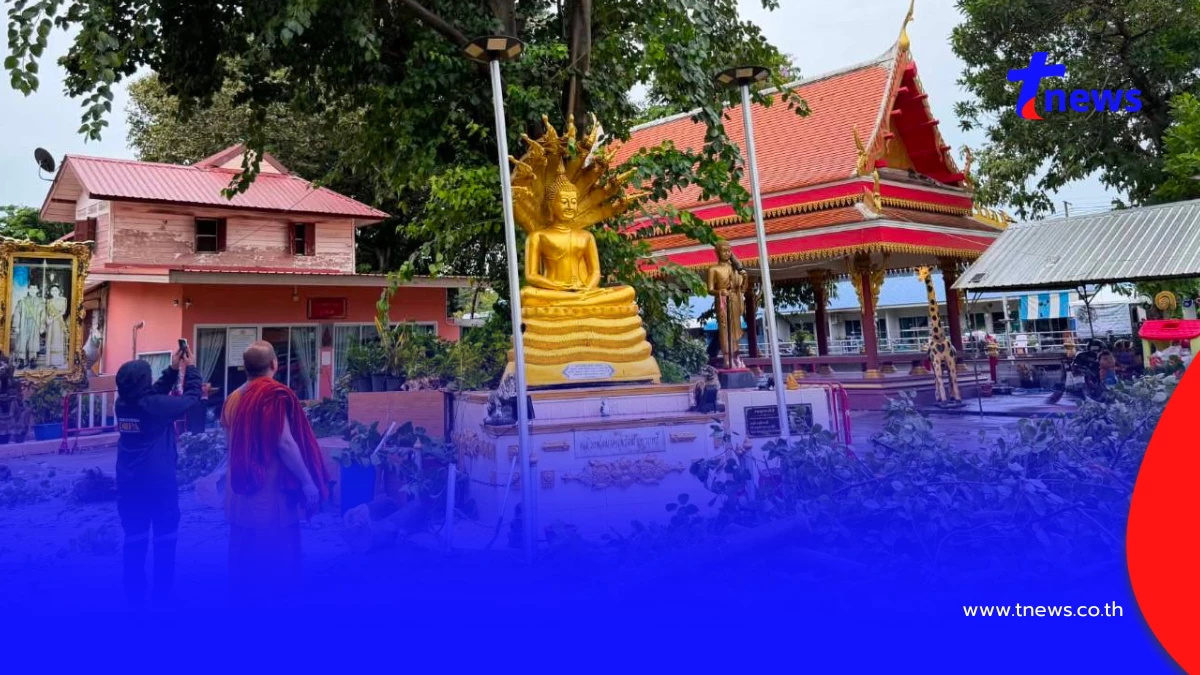 พายุซัดต้นโพธิ์ล้มเฉียดพระพุทธรูป ชาวบ้านเชื่อบารมีคุ้มภัย