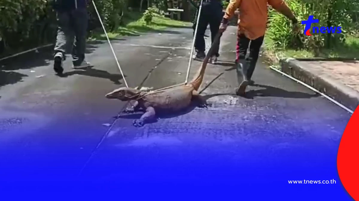 ระทึก! โคตรตัวเงินตัวทองบุกสำนักงานอัยการจังหวัดพังงา