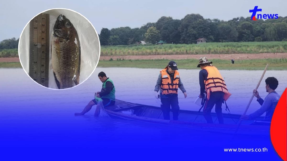 ยืนยันผลแล็บ ปลาหมอคางดำโผล่เขื่อนลำปาว กาฬสินธุ์เร่งคุม