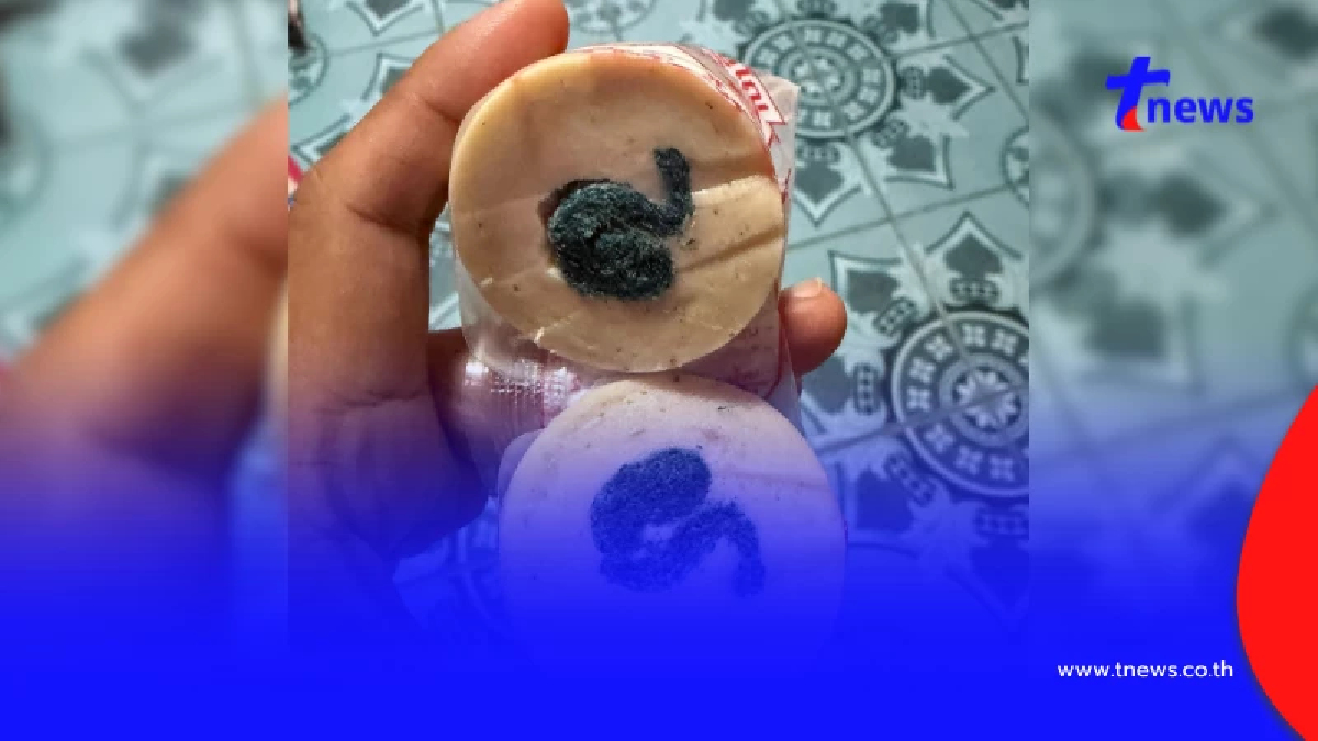 อวสานมื้ออร่อย สาวผ่าหมูยอเจอของแถมประหลาด สงสัยเข้าไปยังไง
