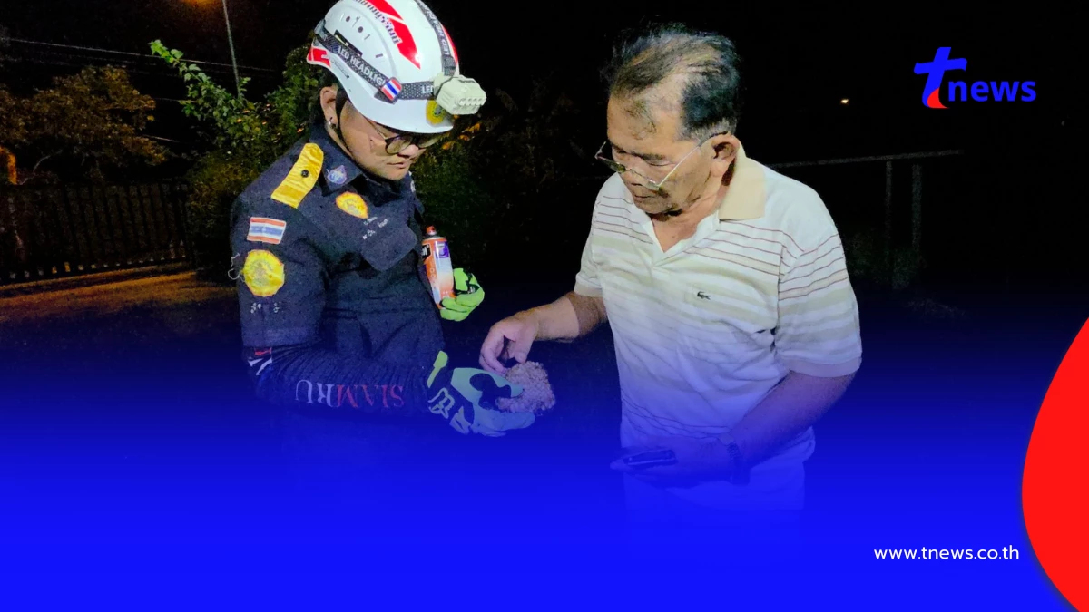 แค้นจัด! ต่อหัวเสือรุมต่อยอดีตกำนัน-น้าสาว เรียกกู้ภัยกำจัด