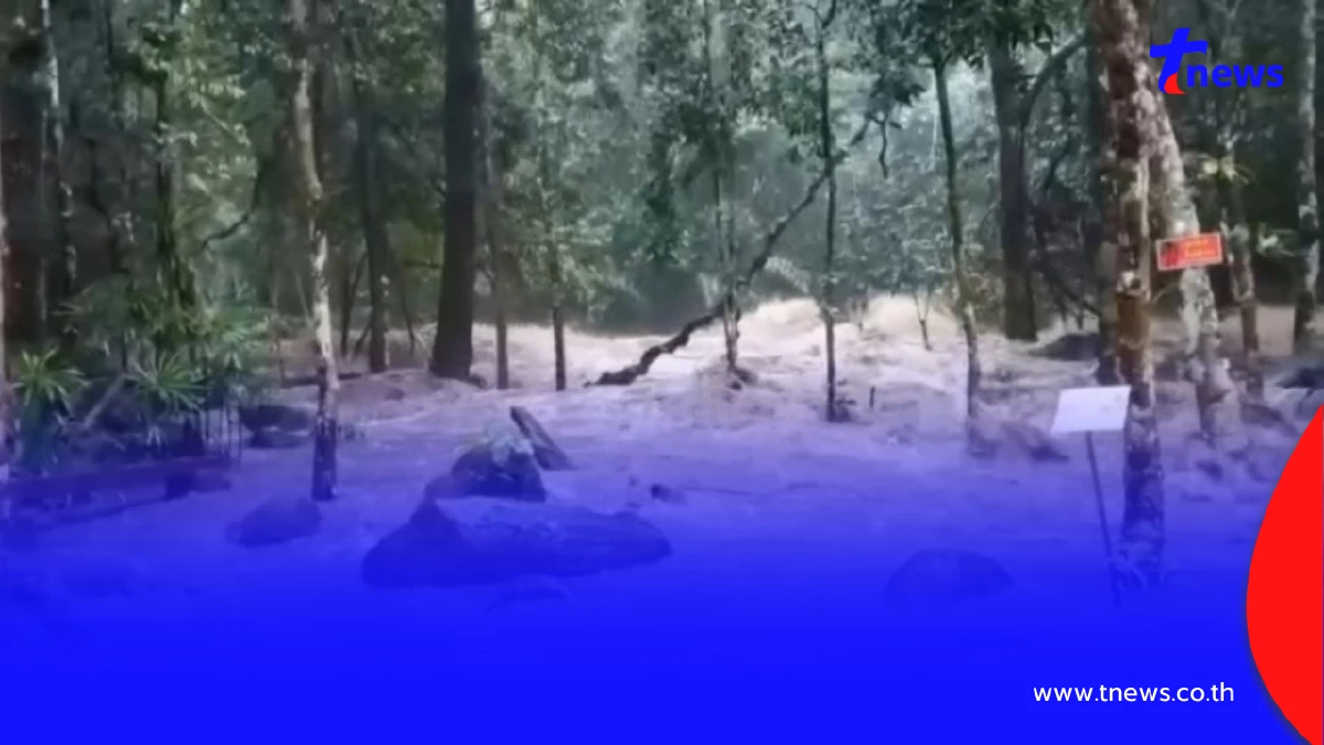 ด่วน! ฝนตกหนักน้ำป่าทะลักเขาชะเมา ท่วมบ้าน-สวนพังยับ!