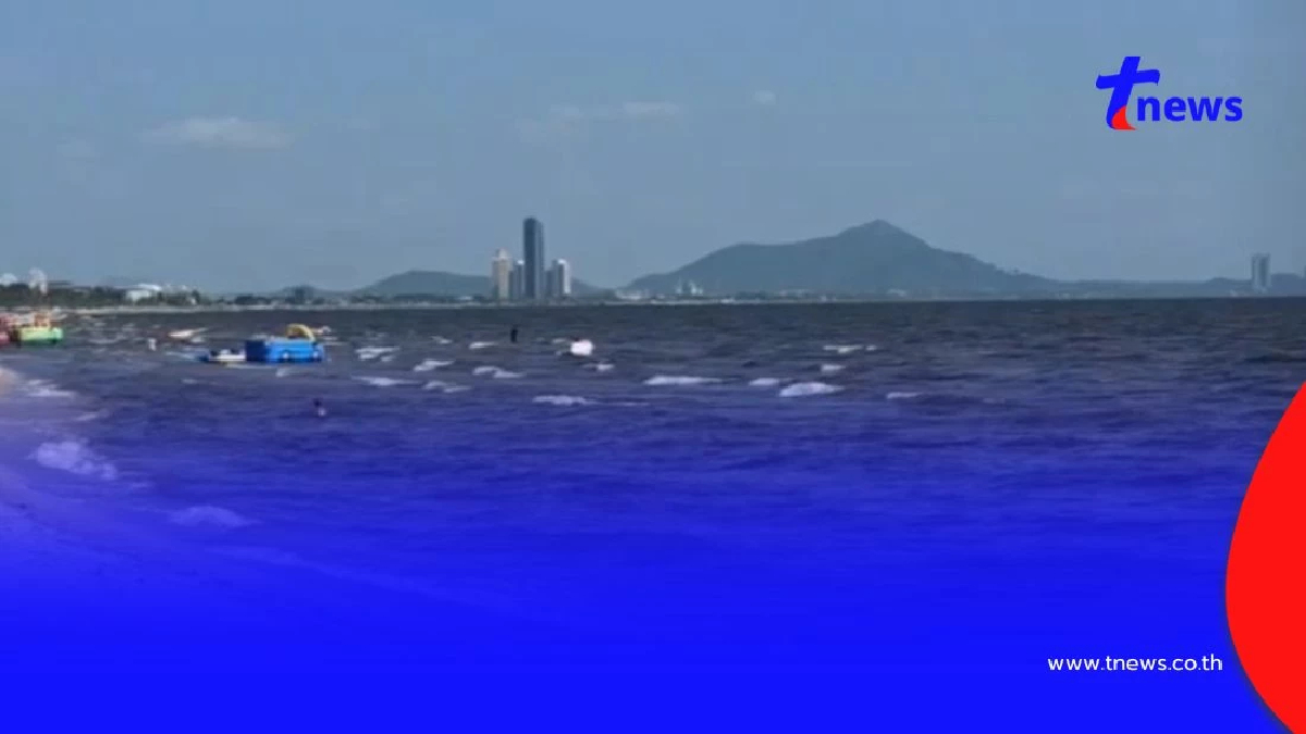 บางแสนเกิดอะไรขึ้น? น้ำทะเลดำขุ่นตลอดแนวหาด นักท่องเที่ยวผงะ!