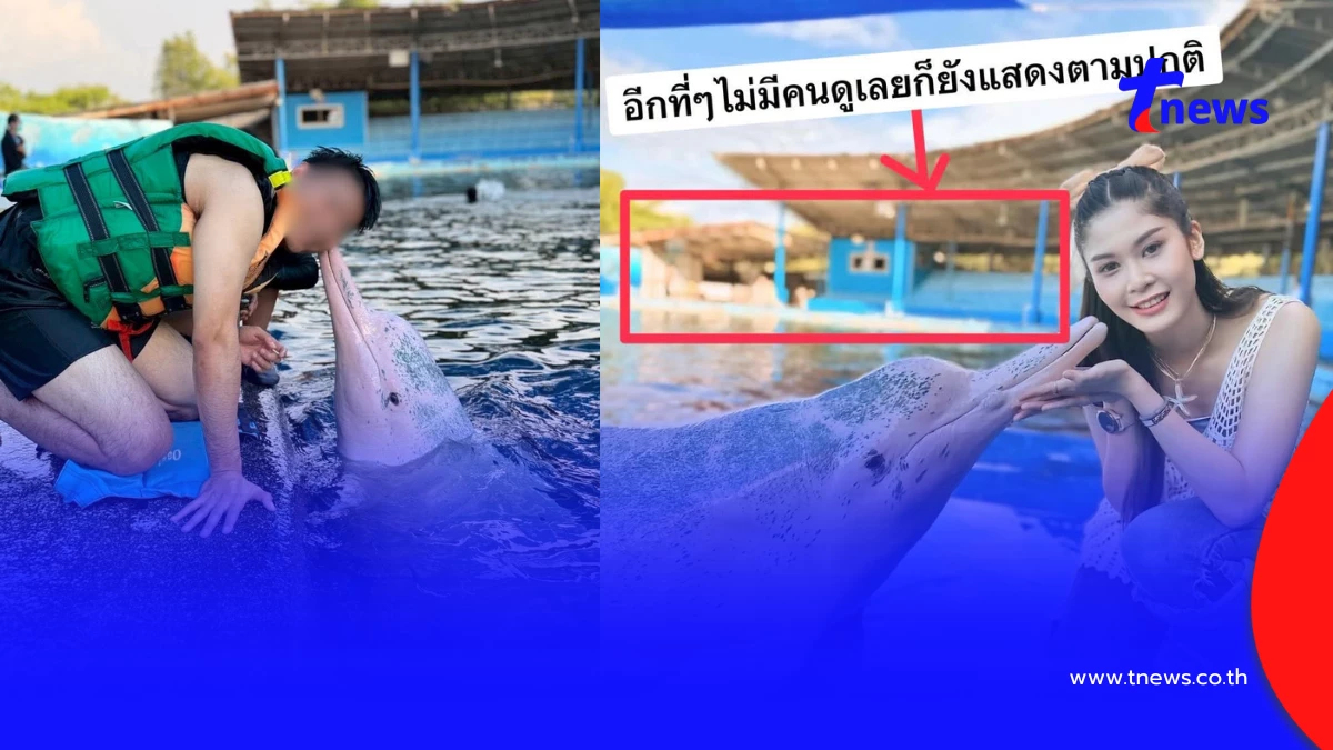 วิกฤตนักท่องเที่ยวบางตา คนดูแทบไม่มีแต่โลมายังโชว์เต็มที่