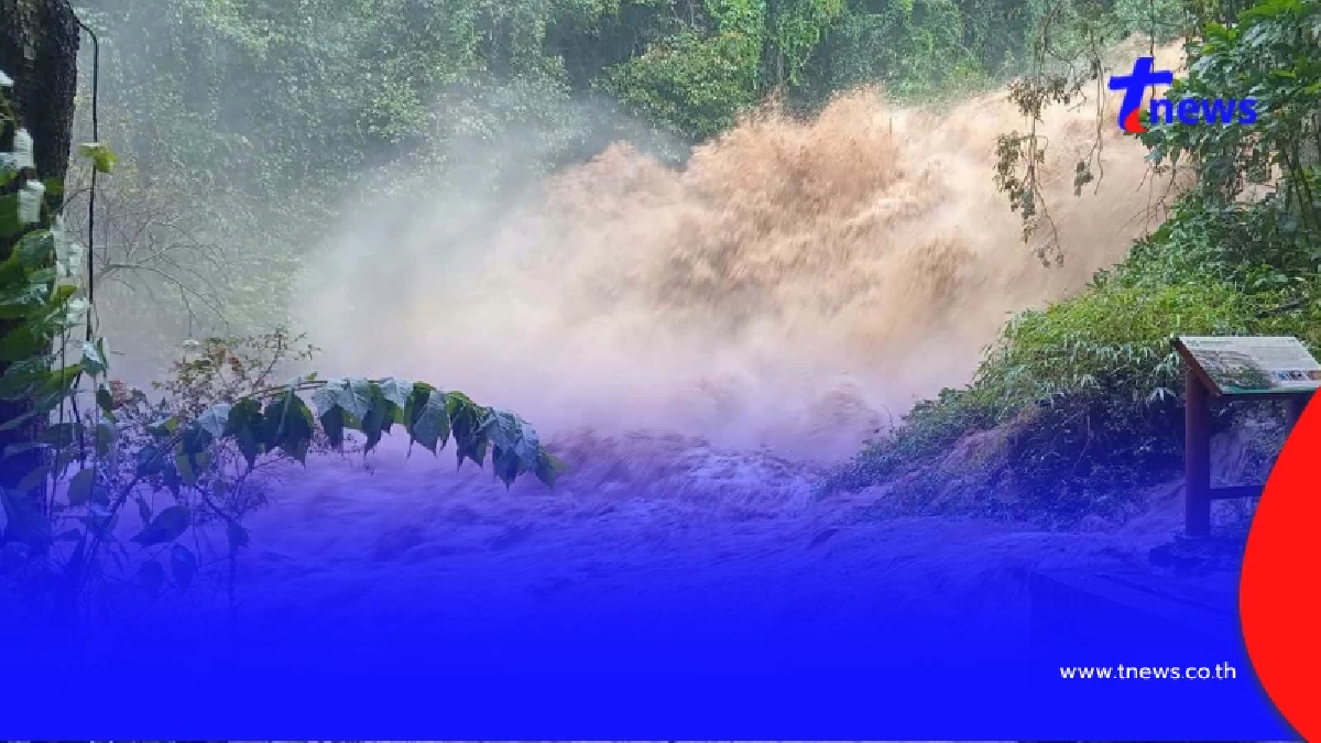 งดเข้าชมชั่วคราว เส้นทางศึกษาธรรมชาติ "ผาดอกเสี้ยว" หลังฝนตกหนักน้ำป่าทะลัก