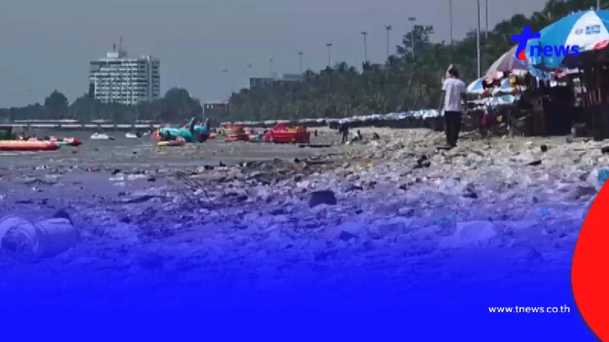 ขยะหลายตันเกลื่อนหาดบางแสน! เทศบาลไม่นิ่งนอนใจเร่งเก็บ