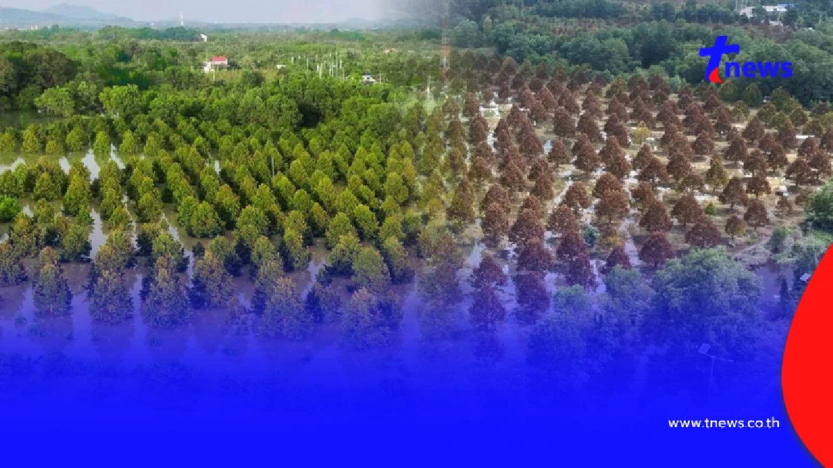 อ่วมท่วมยกสวน ชาวสวนทุเรียนท่าใหม่ ตั้งคำถาม จี้รัฐบาลรับผิดชอบ