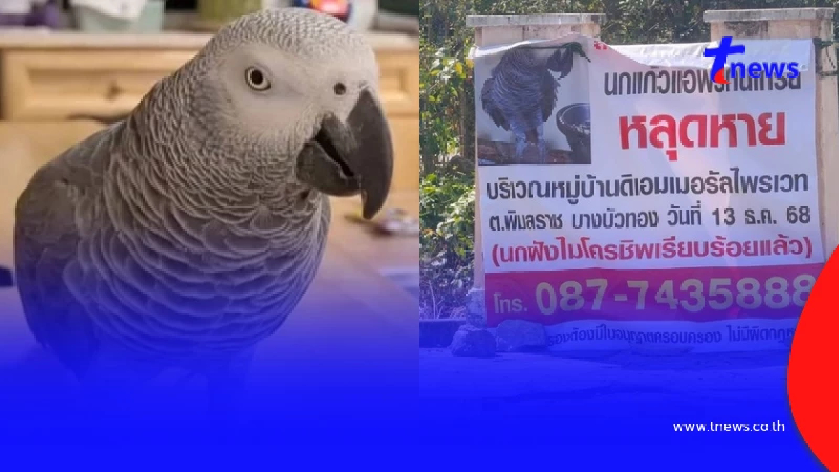 อ.แดงย์ร่ำไห้ ให้ 1 แสน แต่ยังไม่เจอนกแก้ว เบาะแสล่าสุดใจแทบสลาย