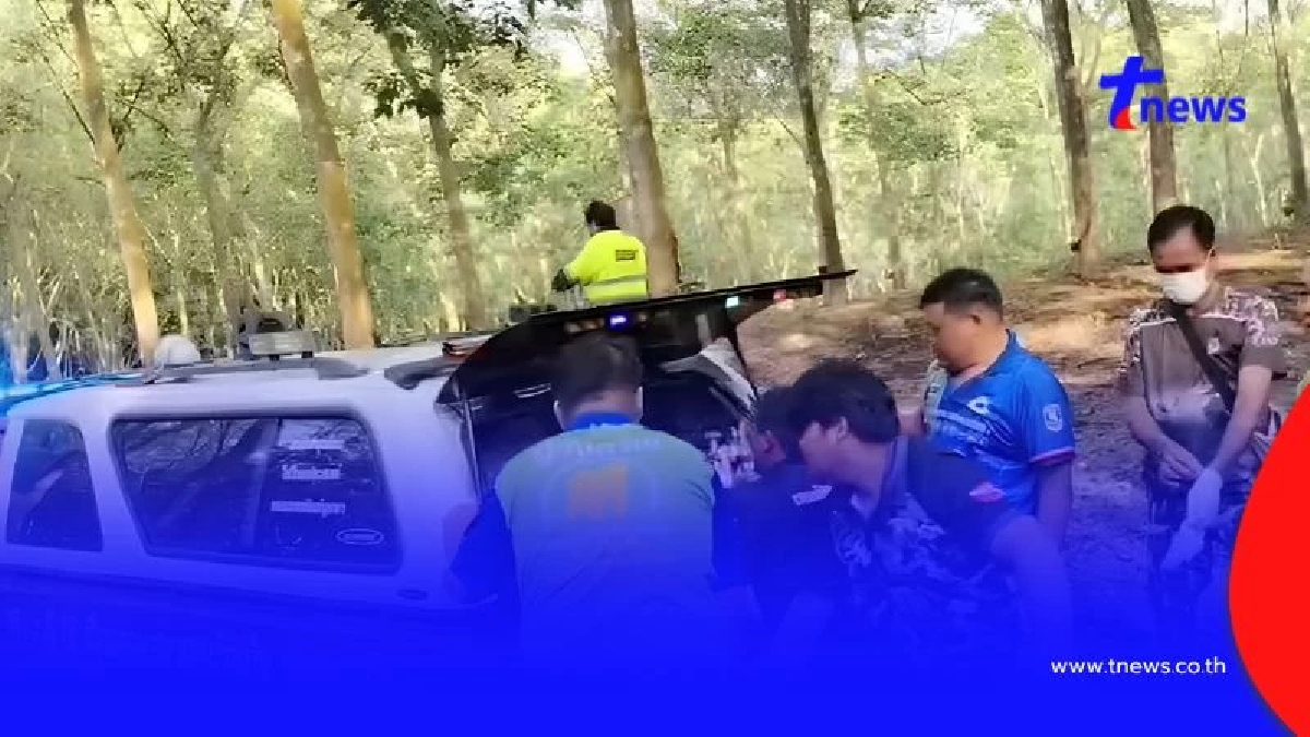 สลดกลางสวนยาง! ผัวเมียเจอช้างป่า วิ่งหนีคนละทาง สุดท้ายไม่รอด