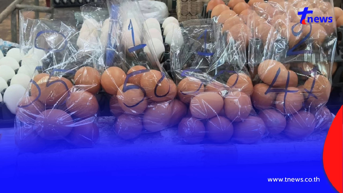 น้ำท่วมดัน ราคาไข่ไก่ พุ่งแรงเบอร์ 0 แตะ 140 แถมขาดตลาดหนัก